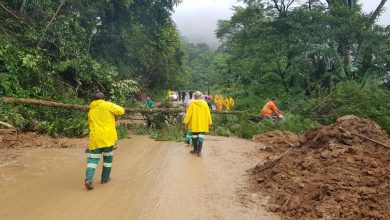 Foto de Governo mobiliza equipes para as regiões atingidas pelas chuvas